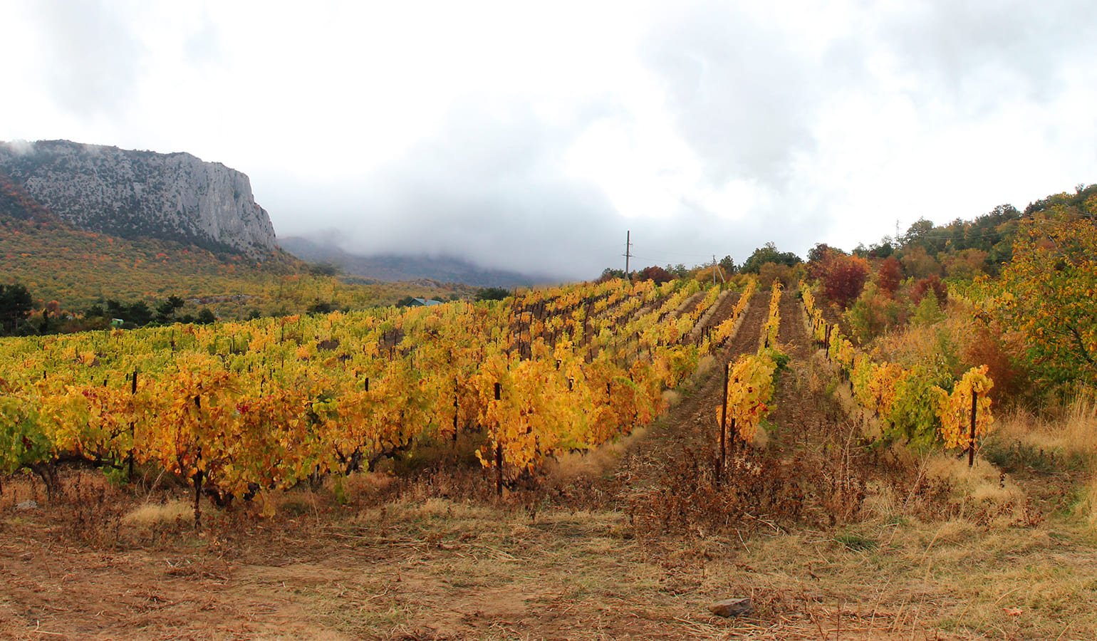 Чем заняться в Крыму в межсезонье