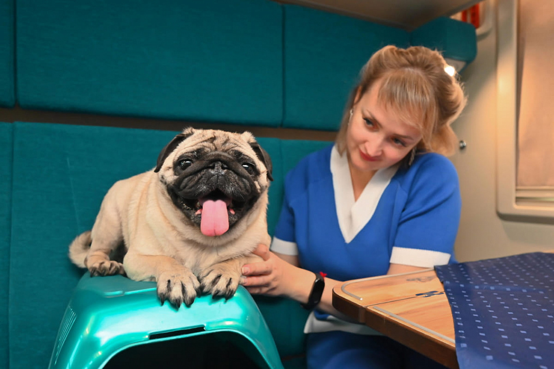 «Гранд Сервис Экспресс» с конца апреля увеличивает количество вагонов, где возможен проезд с животными